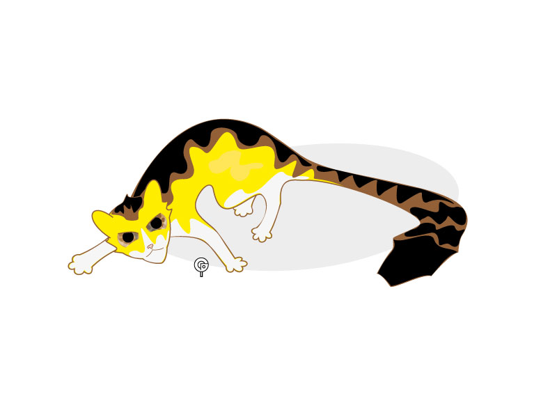 Difesa
