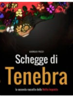 schegge-di-tenebra-ebook